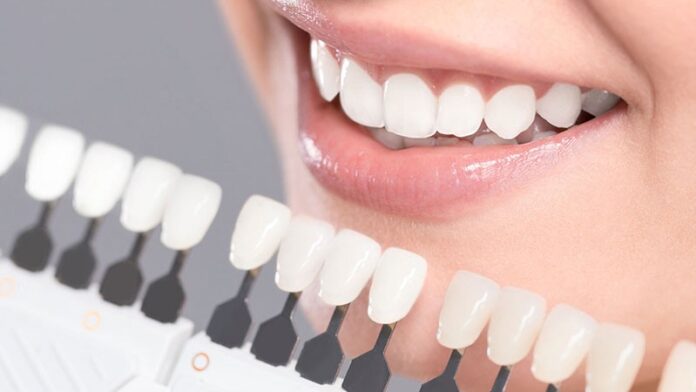 dentist mount cotton